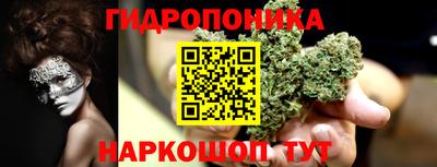 дурь Бердск