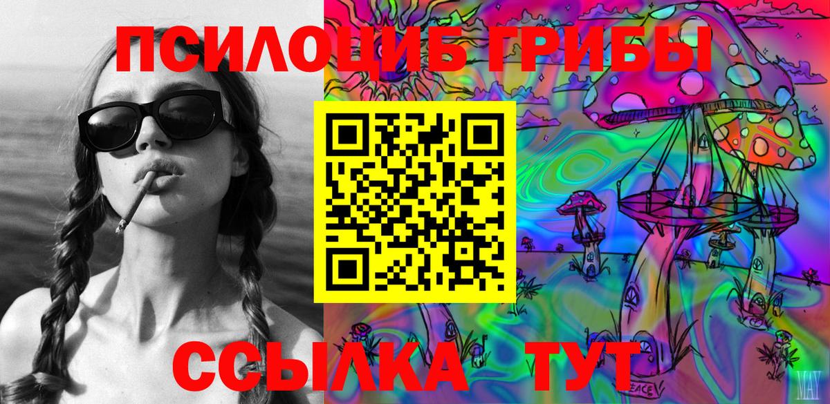где продают   Псилоцибиновые грибы ЛСД  Вход с VPN  Гудермес  Псилоцибиновые грибы Psilocybe 